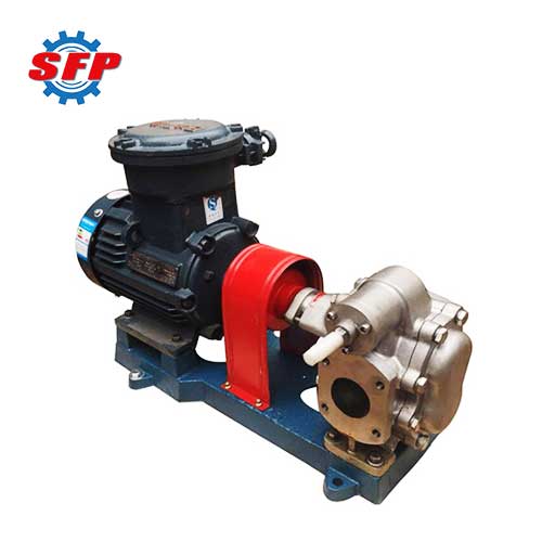 Vegetable Oil Pump